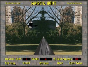  Magpie Hunt 