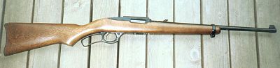  Ruger 96/22 