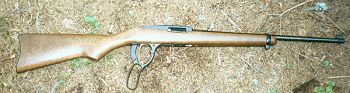  Ruger 96/22 