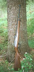  Ruger 96/22 