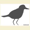  Taulu19